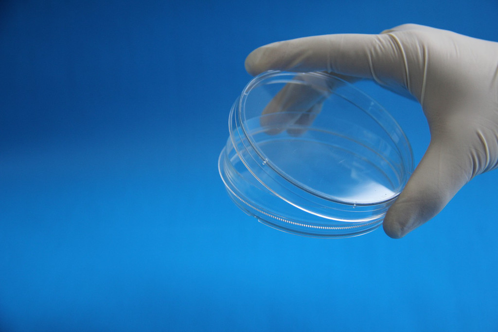 細胞培養(yǎng)皿 細胞培養(yǎng)皿